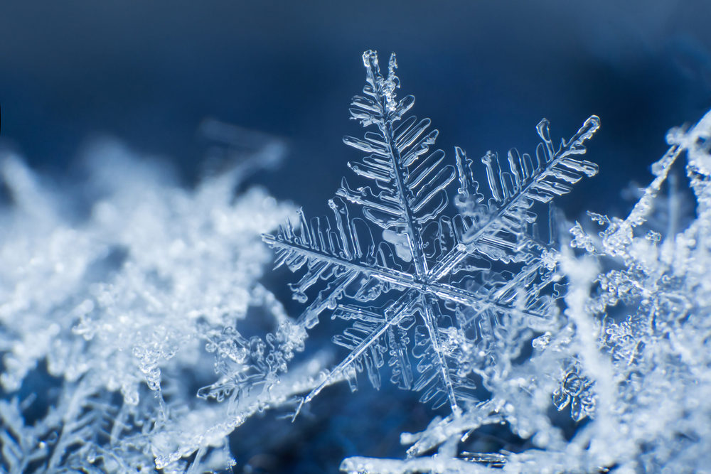 Snowflakes