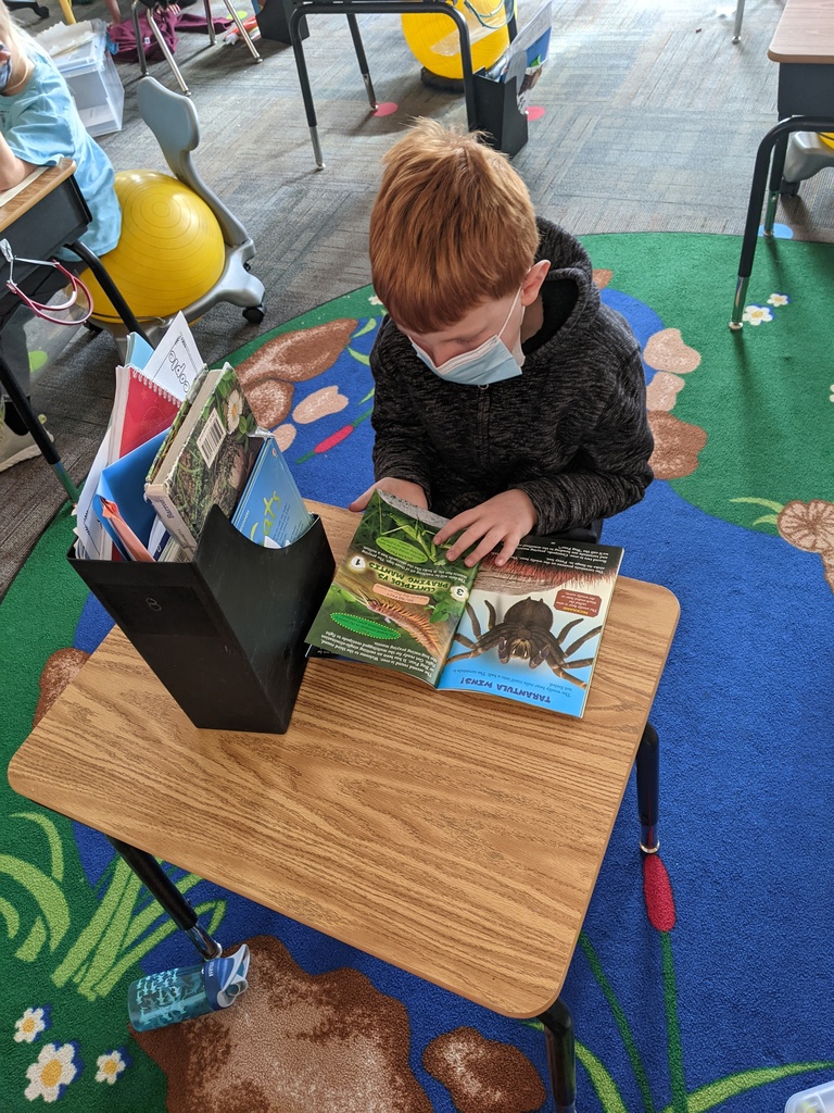 Henry reading at his desk.