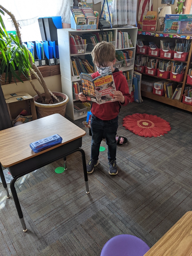 Oliver reading in the Book Nook.