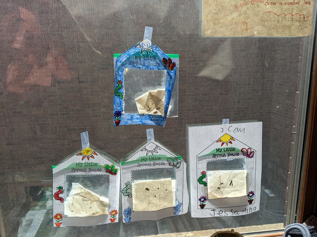 Here are just a few of our Sprout Houses we made today.