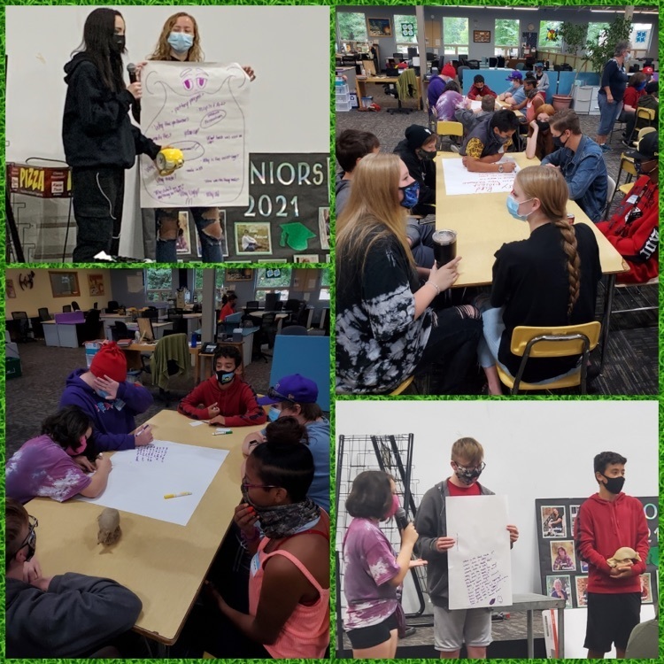 pitching their project idea