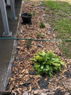 landscaping