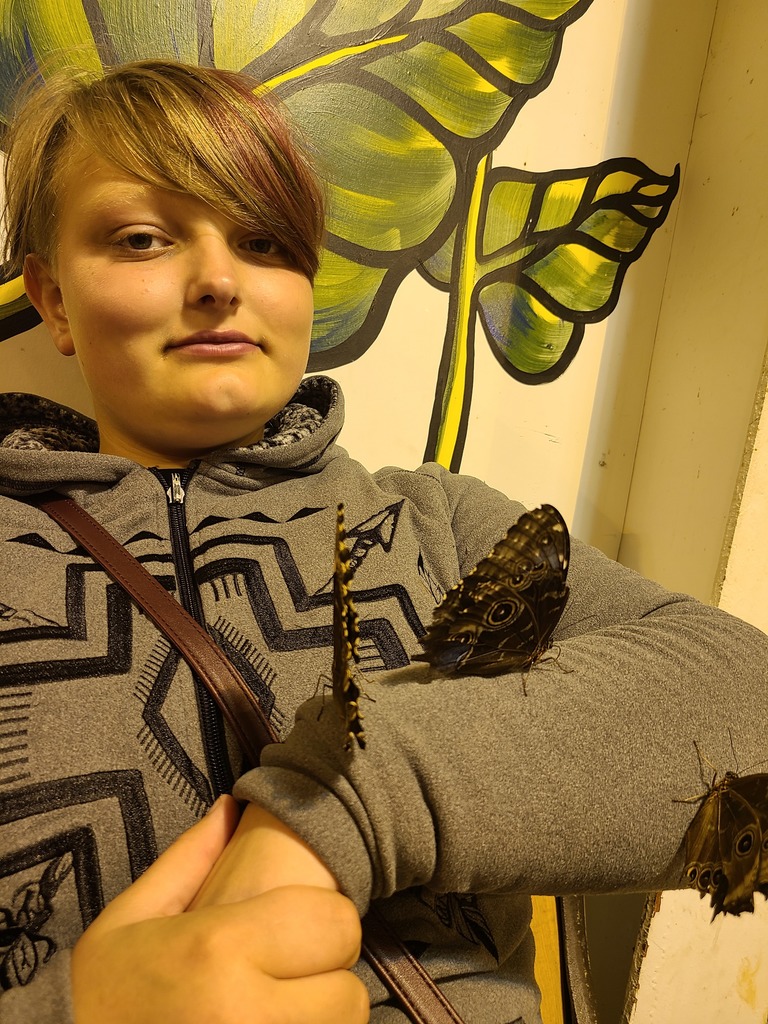 Butterfly garden