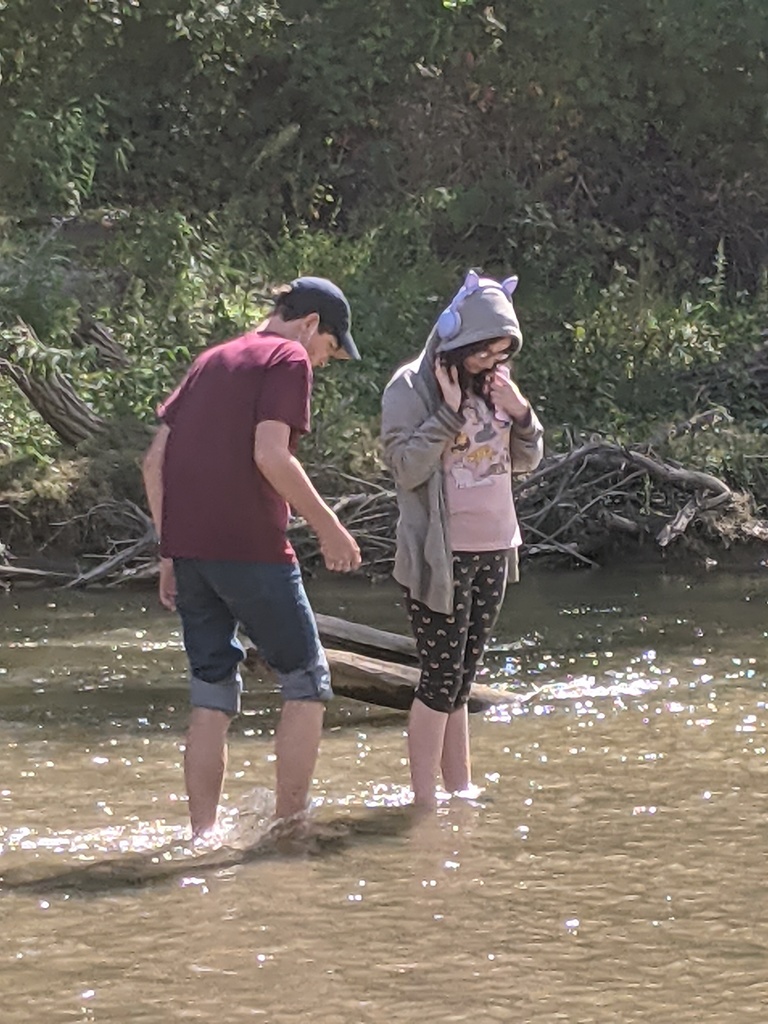 agate searching