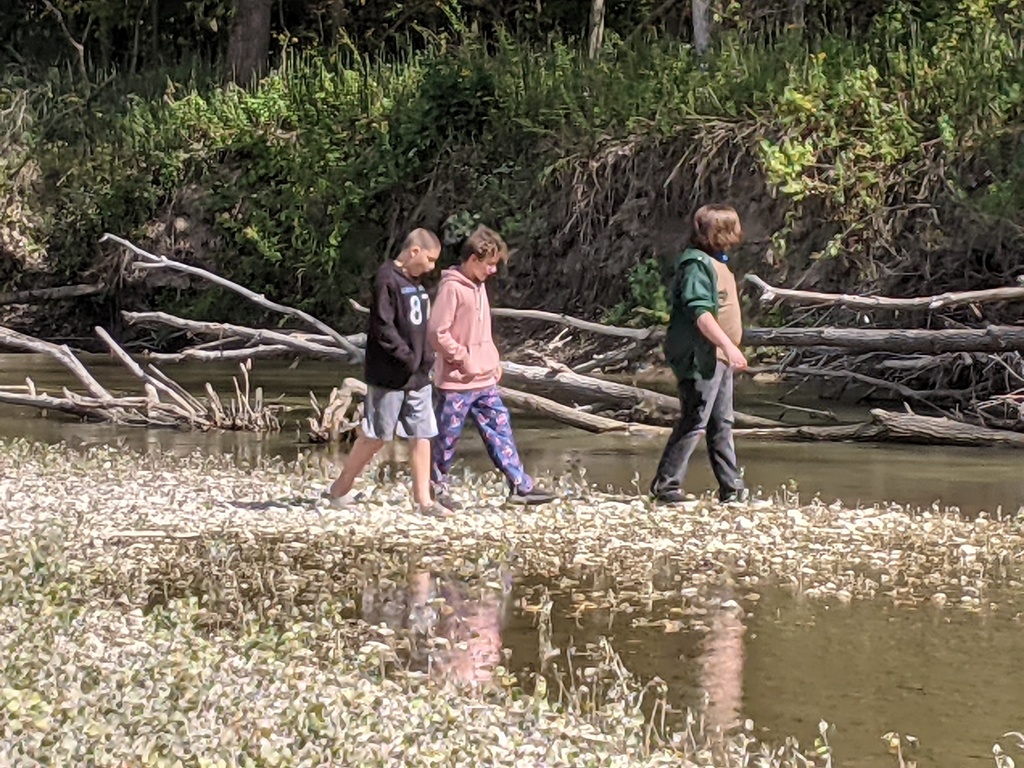 agate searching