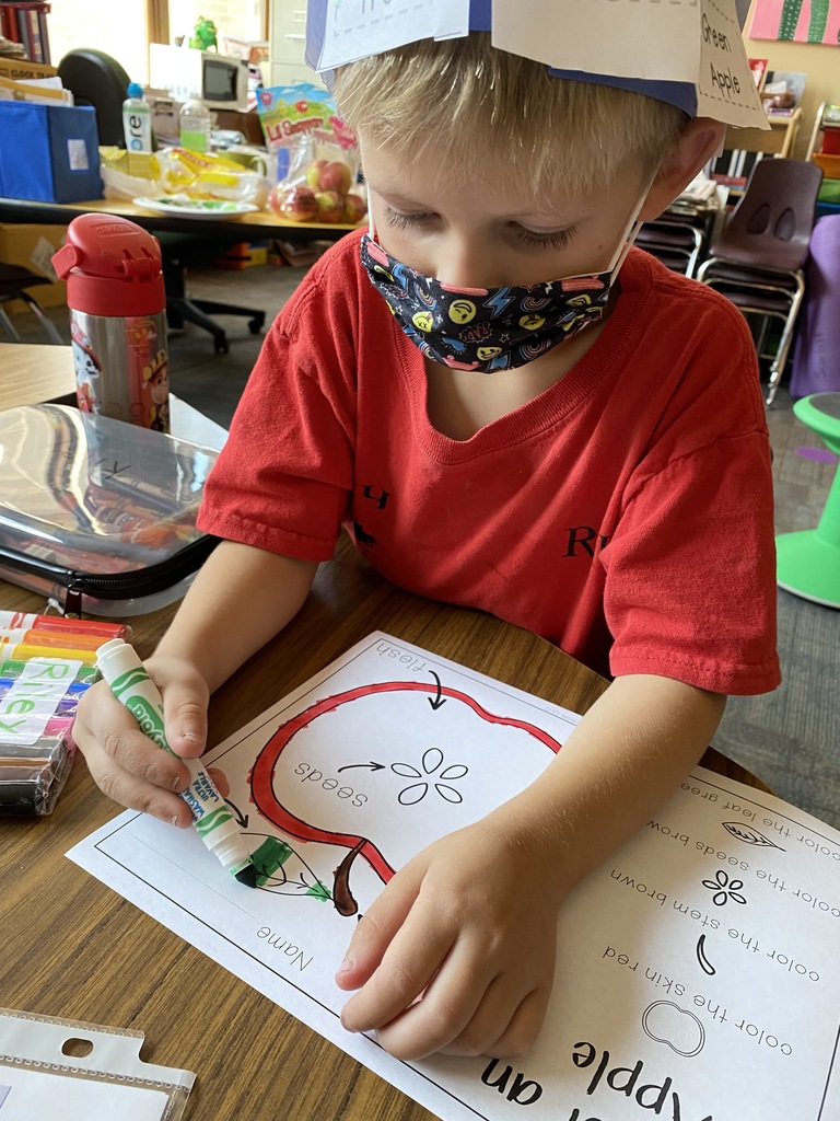 Drawing a apple picture