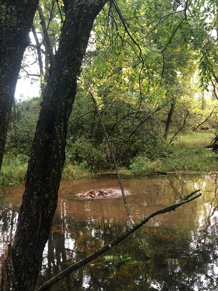 boiling springs