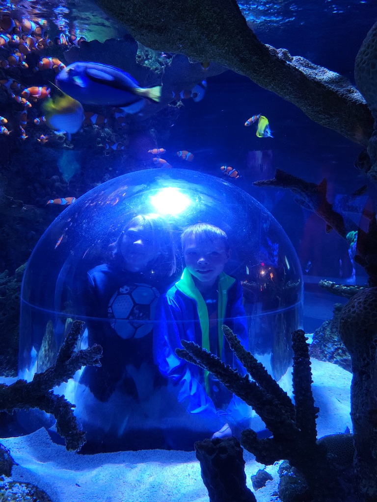 Some MNCS Elementary students went to Sea Life to start off Experience Week! What a fun day of exploring!