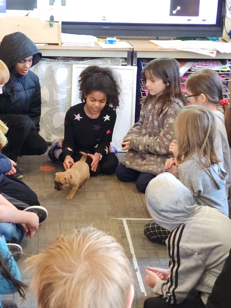 MNCS students introducing their puppy to the class! 